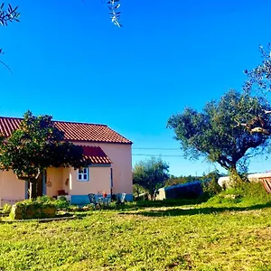 Linhal Meias - São José Matas Envendos